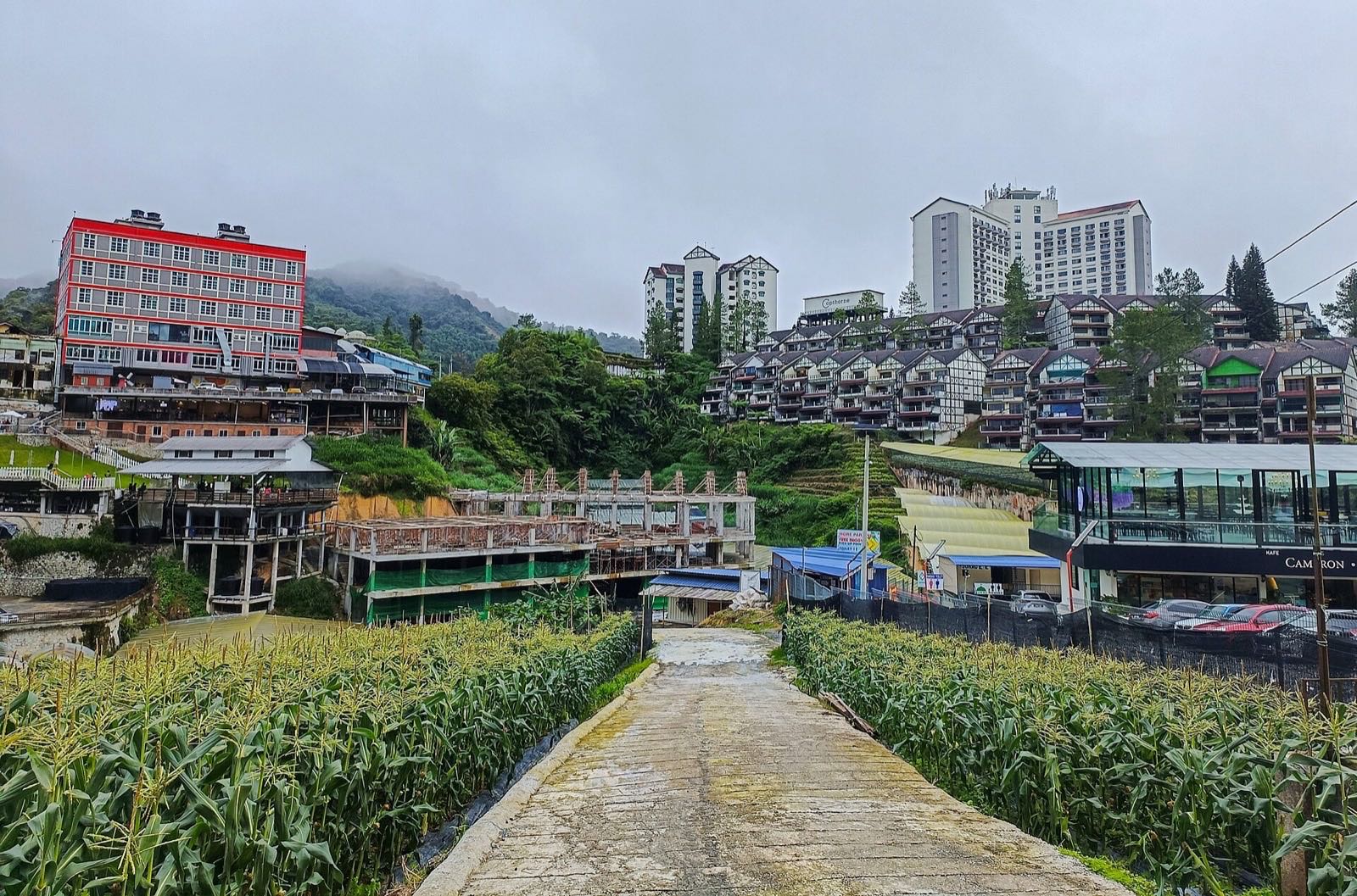 Kea Farm, Cameron Highlands, in December 2024.